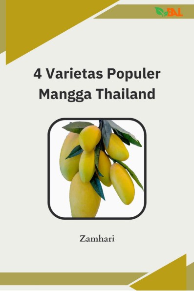 4 Varietas Populer Mangga Thailand